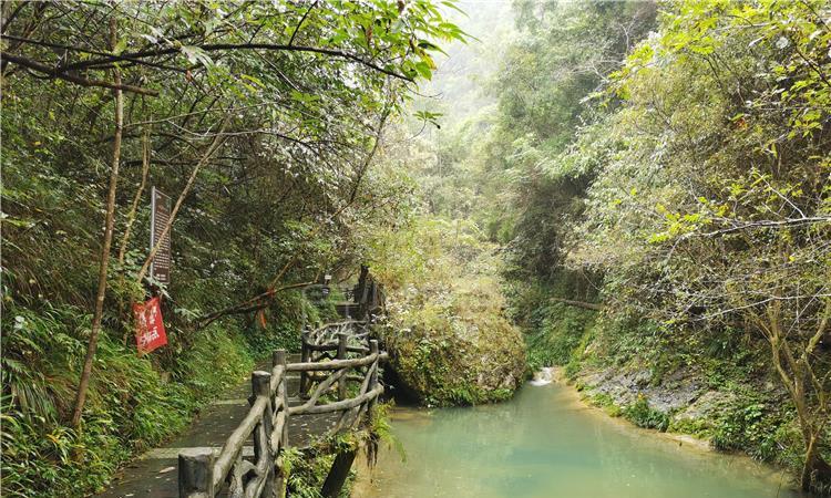 《幻兽帕鲁》联机共用营地介绍